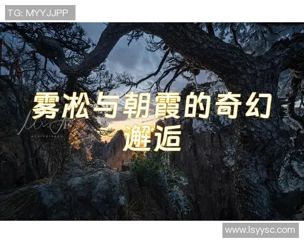 鸽子与足球的奇妙邂逅探索人与自然的和谐共生之路