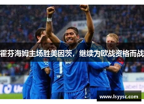 霍芬海姆主场胜美因茨，继续为欧战资格而战
