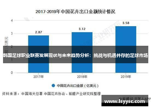 韩国足球职业联赛发展现状与未来趋势分析：挑战与机遇并存的足球市场